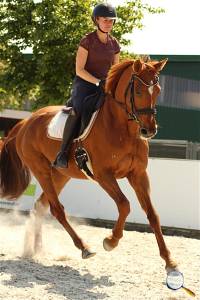 Paula Liebig, Reitlehrerin